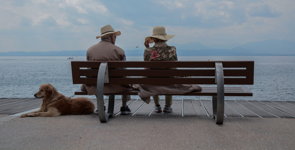 Why Maine is One of the Most Dog-Friendly States in America
