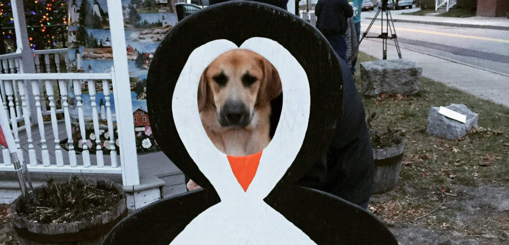 Roscoe’s Featured Friend of the Month: Larry