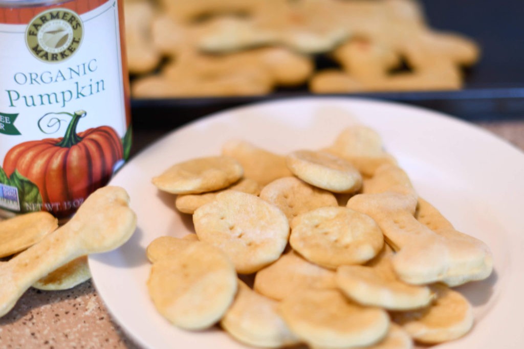 Seasonal Pumpkin Dog Treats