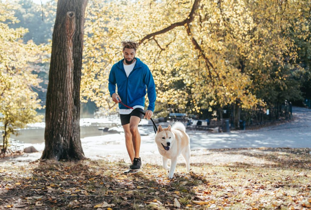 The Benefits of a Simple Walk