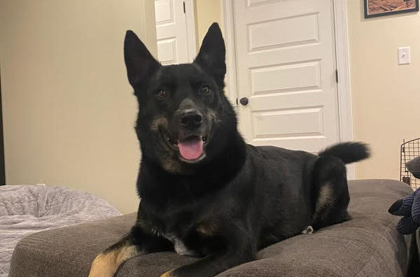 Roscoe’s Featured Friend of the Month: Fenway